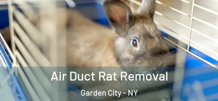  Air Duct Rat Removal Garden City - NY