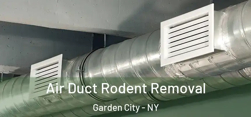  Air Duct Rodent Removal Garden City - NY