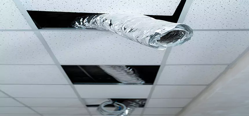 Our Air Duct Pet Hair Removal Services in Garden City, NY