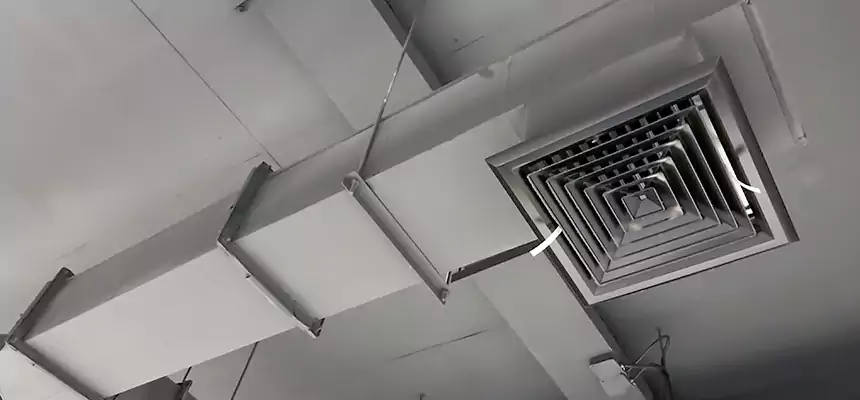 Our Rodent Droppings In Vents Services in Garden City, NY