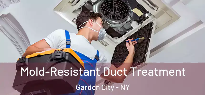  Mold-Resistant Duct Treatment Garden City - NY