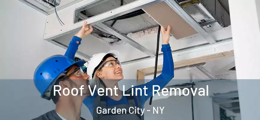  Roof Vent Lint Removal Garden City - NY