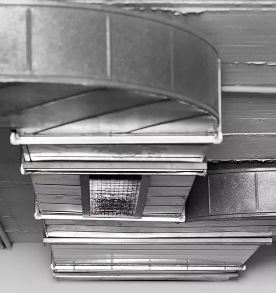 Professional Air Duct Pest Removal in Garden City, NY