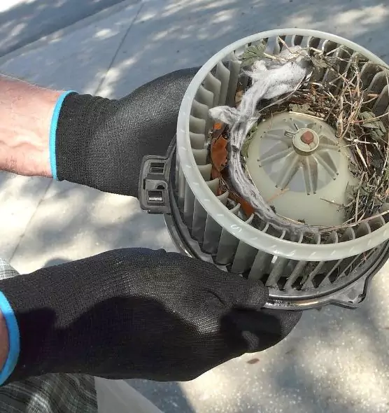 About Air Duct Rat Removal in Garden City, NY