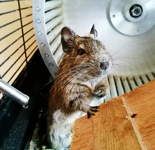 Why Homeowners & Businesses Trust Us Garden City, NY